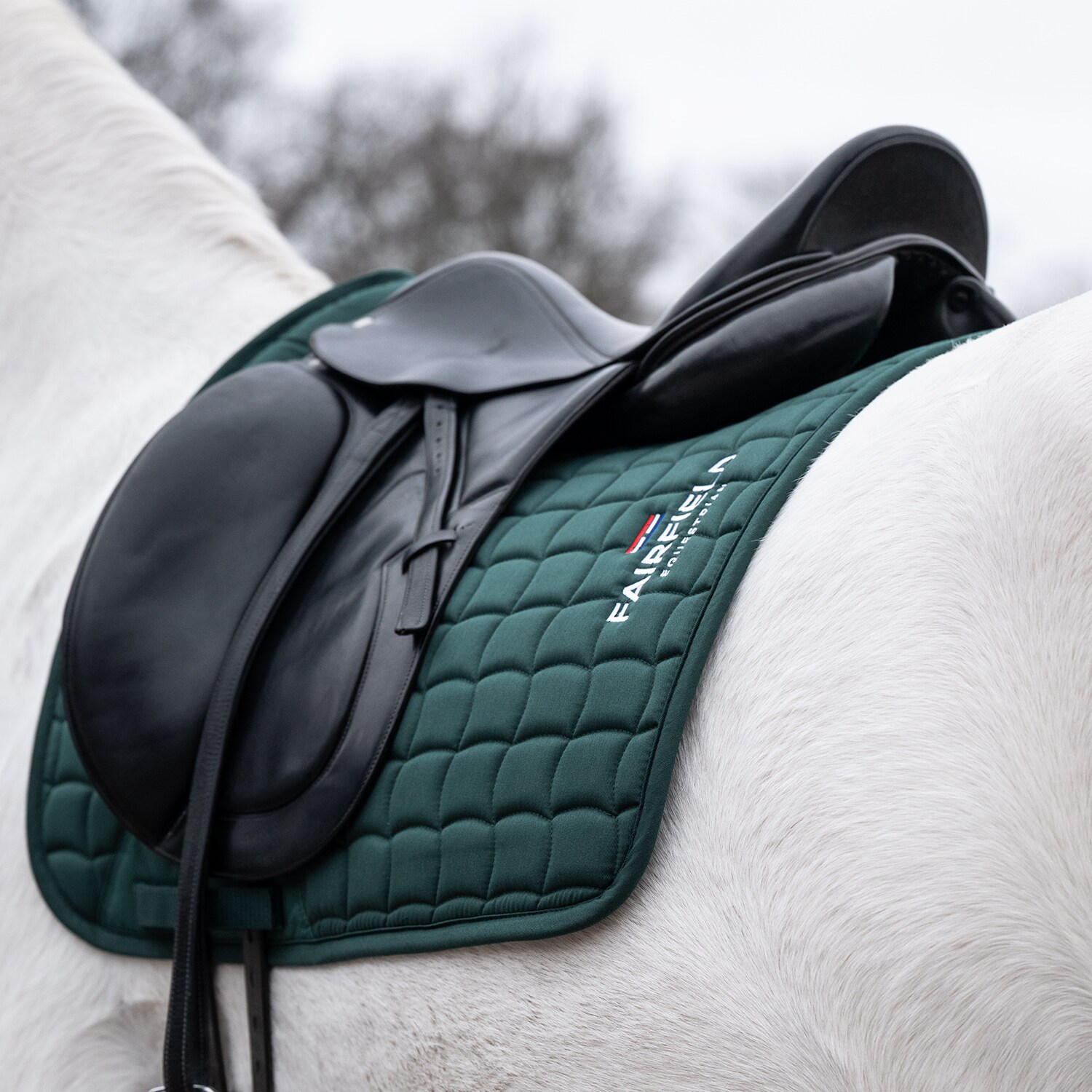 Dressursjabrak  Hickstead Fairfield®