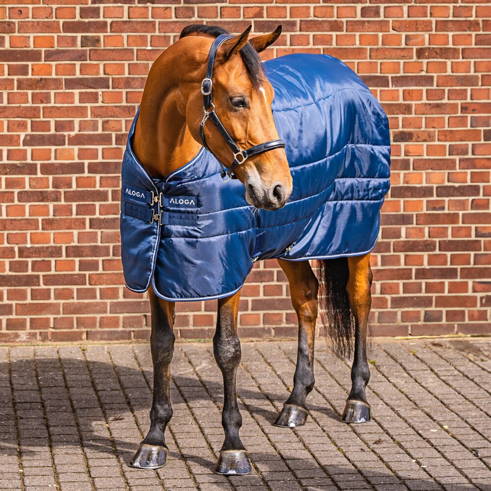 Stalldekken  Stable Blanket 150g Aloga Equestrian