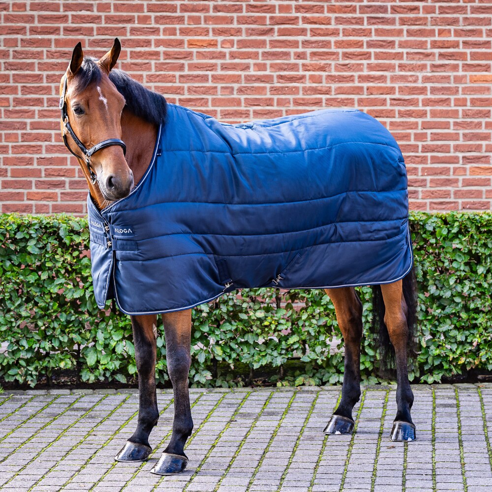 Stalldekken  Stable Blanket 150g Aloga Equestrian