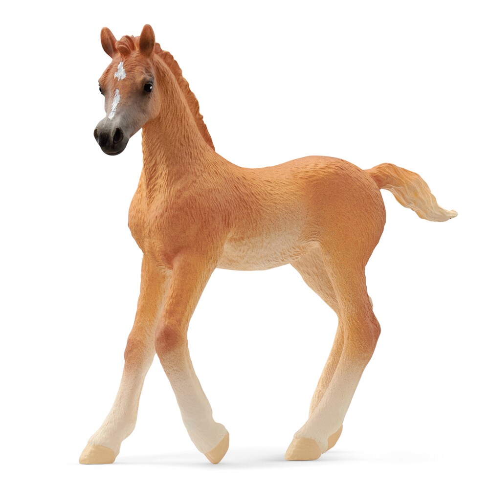 Leketøy  Arab foal Schleich