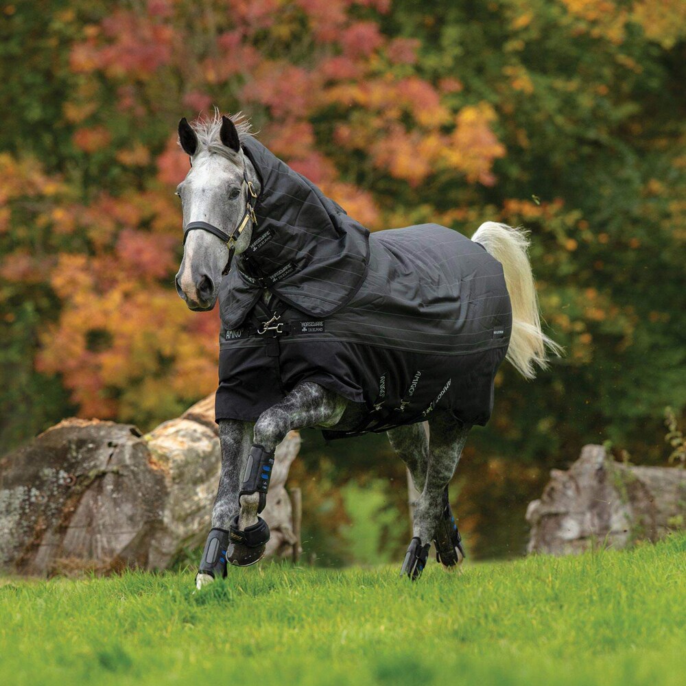 Vinterdekken 250 g Amigo Bravo 12 Reflectech Plus Turnout Horseware®