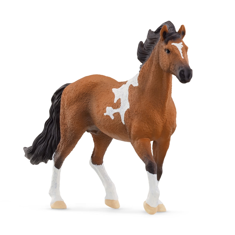 Leketøy  Mangalarga Marchador Stallion Schleich